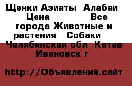 Щенки Азиаты (Алабаи) › Цена ­ 20 000 - Все города Животные и растения » Собаки   . Челябинская обл.,Катав-Ивановск г.